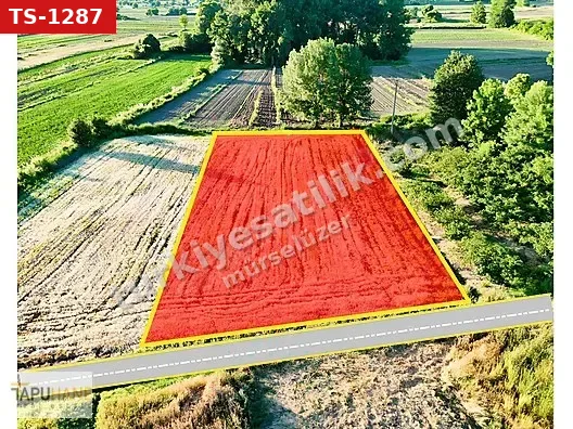 TAPUHANE'DEN Y. ÇALICADA 1618 M2 SATILIK TARLA